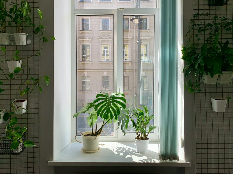 The Benefits of Incorporating Indoor Plants into Your Home Decor